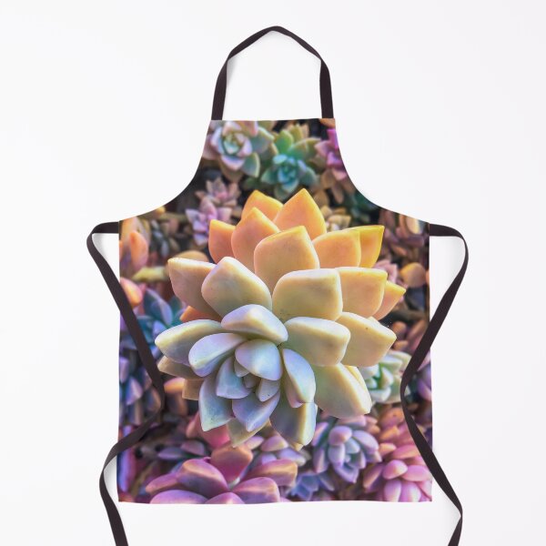 Item preview, closeup green and pink succulent plant designed and sold by Mrvell.