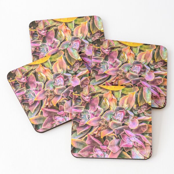 Item preview, green and pink succulent plant garden texture background designed and sold by Mrvell.
