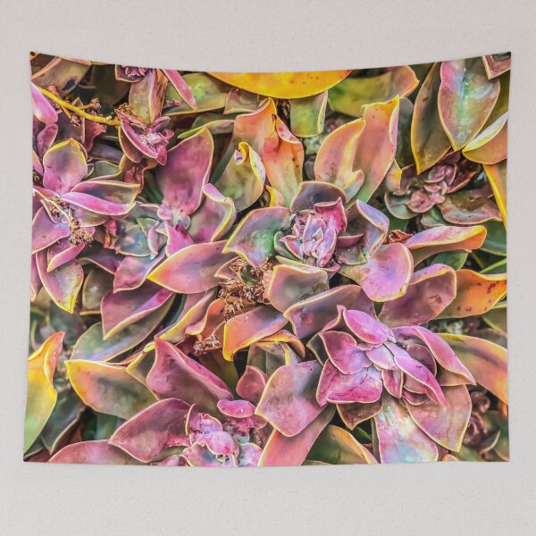 Item preview, green and pink succulent plant garden texture background designed and sold by Mrvell.
