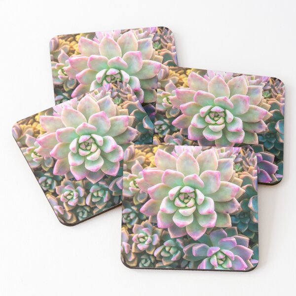 Item preview, closeup green and pink succulent plant background designed and sold by Mrvell.