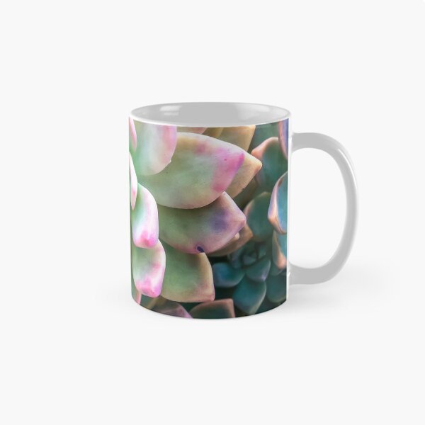 Item preview, closeup green and pink succulent plant background designed and sold by Mrvell.