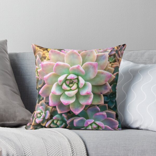 Item preview, closeup green and pink succulent plant background designed and sold by Mrvell.