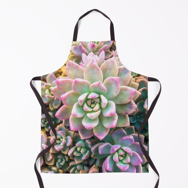 Item preview, closeup green and pink succulent plant background designed and sold by Mrvell.
