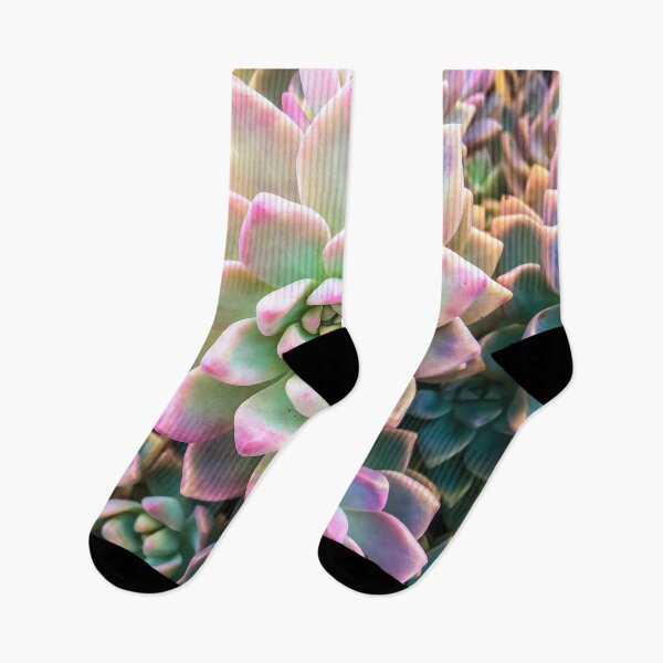 Item preview, closeup green and pink succulent plant background designed and sold by Mrvell.