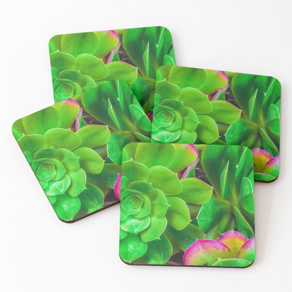 Item preview, closeup green and pink succulent plant garden designed and sold by Mrvell.