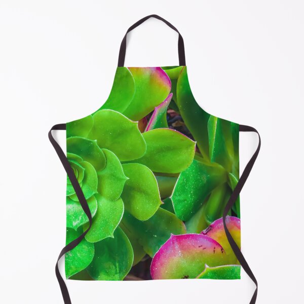Item preview, closeup green and pink succulent plant garden designed and sold by Mrvell.