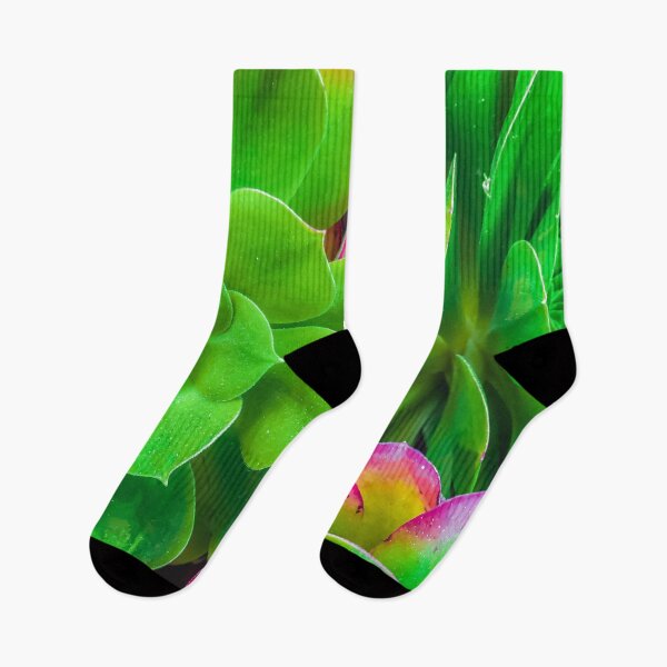 Item preview, closeup green and pink succulent plant garden designed and sold by Mrvell.
