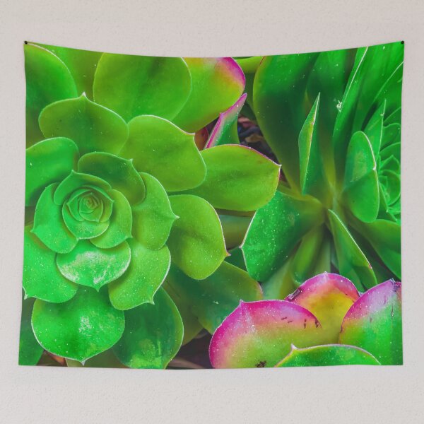 Item preview, closeup green and pink succulent plant garden designed and sold by Mrvell.