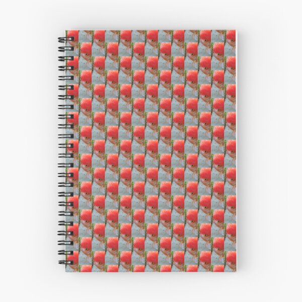 Item preview, Cheeky Redcap Oranda designed and sold by GregDorney.
