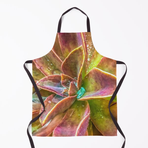 Item preview, closeup green and pink succulent plant with water drop designed and sold by Mrvell.