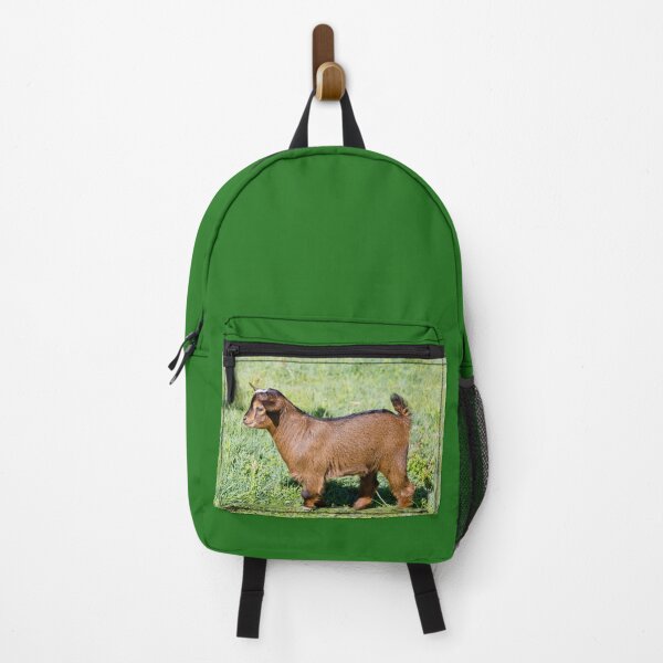 Item preview, Young Brown Goat Kid in Paddock designed and sold by Nicolette Neish.