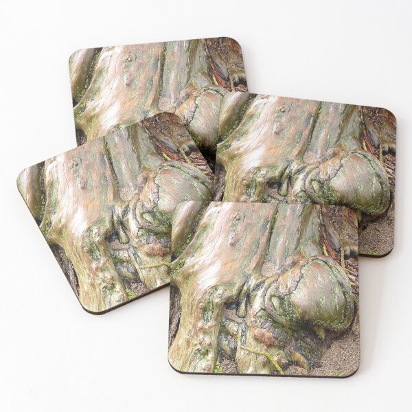 Item preview, Tree root, Mornington designed and sold by Roz McQuillan Fine Art & Photography.