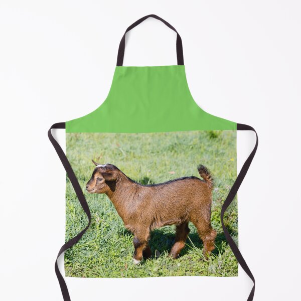 Item preview, Young Brown Goat Kid in Paddock designed and sold by Nicolette Neish.