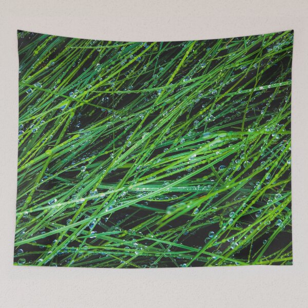 Item preview, closeup green grass texture background with raindrops designed and sold by Mrvell.