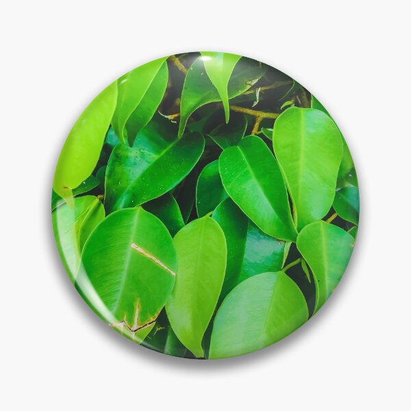 Item preview, closeup green leaves background designed and sold by Mrvell.