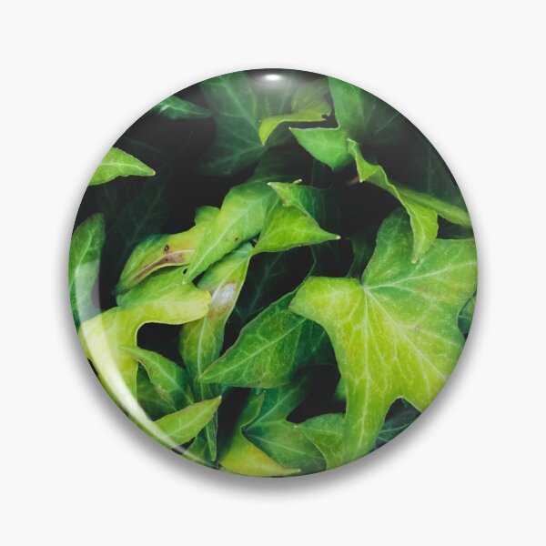 Item preview, closeup green ivy leaves garden background designed and sold by Mrvell.
