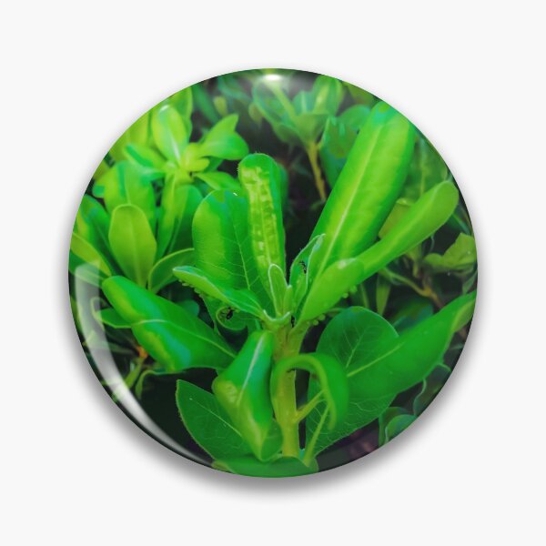 Item preview, green leaves plant texture background designed and sold by Mrvell.