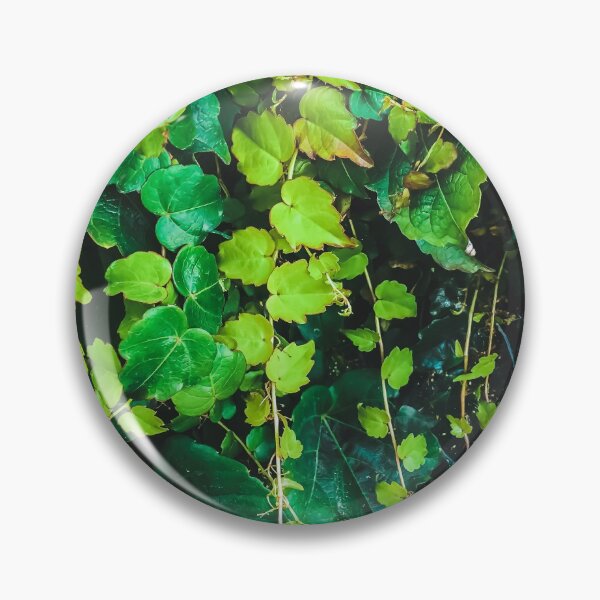 Item preview, closeup green ivy leaves garden texture background designed and sold by Mrvell.