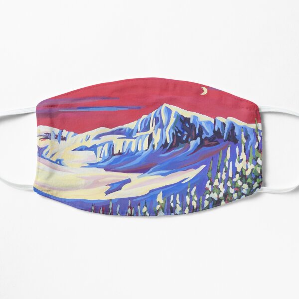 Skier's Delight Mask