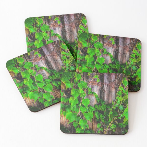 Item preview, closeup green ivy leaves with wood wall background designed and sold by Mrvell.