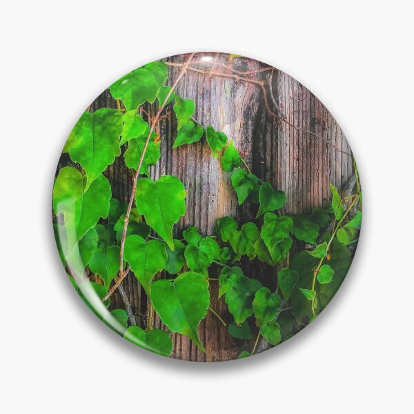 Item preview, closeup green ivy leaves with wood wall background designed and sold by Mrvell.