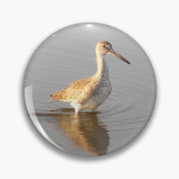 Item preview, Waist Deep Willet (Tringa semipalmata) designed and sold by Inuyasha907.