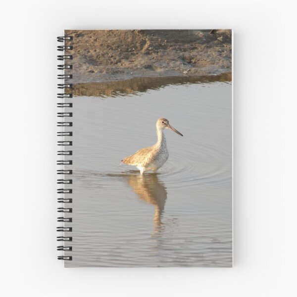 Item preview, Waist Deep Willet (Tringa semipalmata) designed and sold by Inuyasha907.
