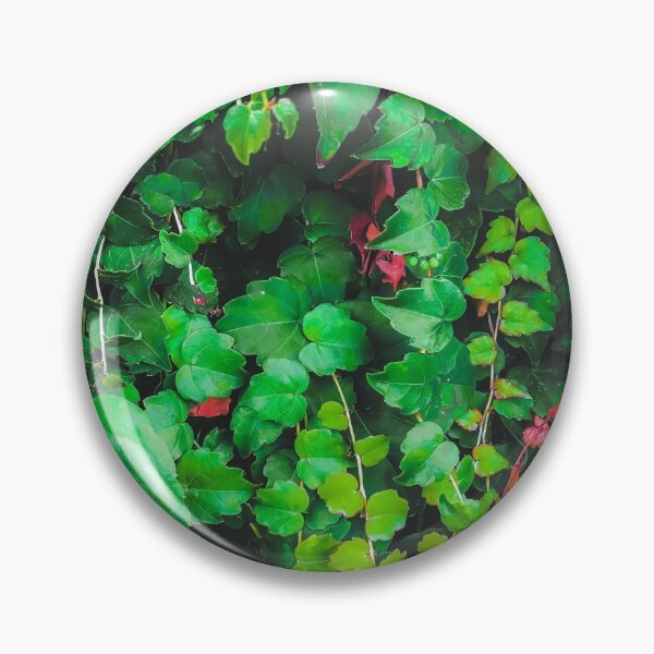 Item preview, fresh green ivy leaves plant texture background designed and sold by Mrvell.