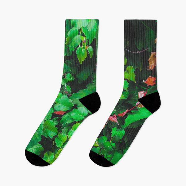 Item preview, fresh green ivy leaves plant texture background designed and sold by Mrvell.