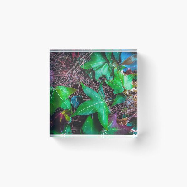 Item preview, closeup green leaves on the dry grass designed and sold by Mrvell.