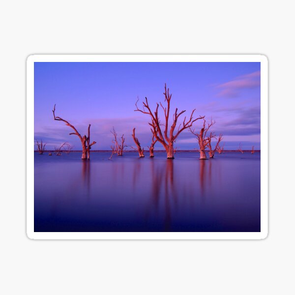 Red Gums Sticker