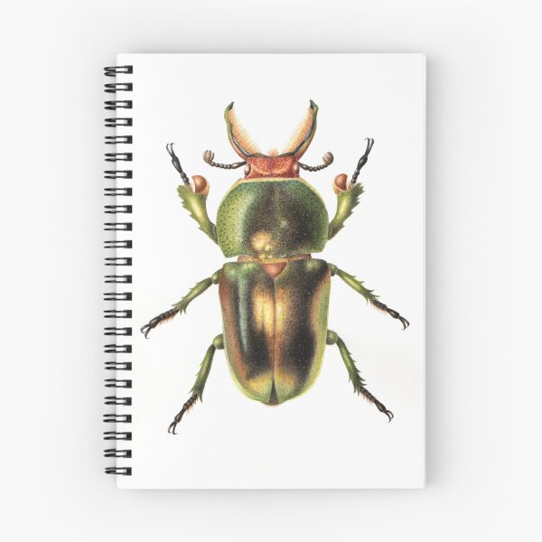 Item preview, Golden Green Stag Beetle designed and sold by Cheryl Hodges.