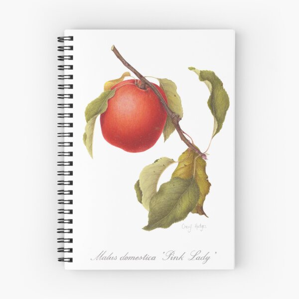 Item preview, Pink Lady apple designed and sold by Cheryl Hodges.