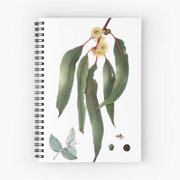 Item preview, Eucalyptus globulus - Southern Bluegum designed and sold by Cheryl Hodges.