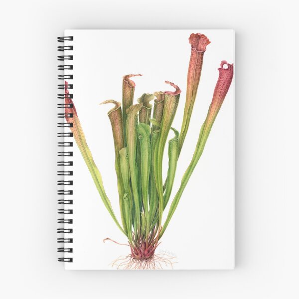 Item preview, Pitcher Plant - Sarracenia sp. designed and sold by Cheryl Hodges.