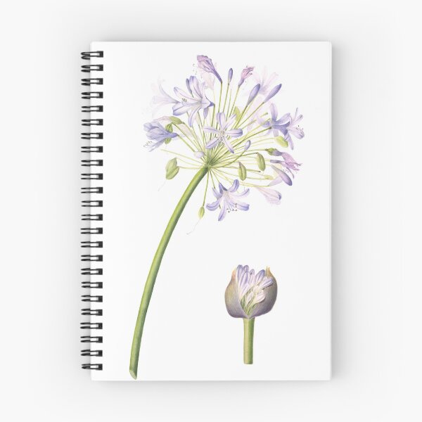 Item preview, Agapanthus designed and sold by Cheryl Hodges.