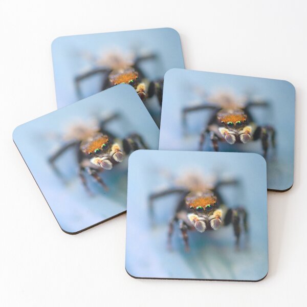 Item preview, jumping spider designed and sold by Gift like the GOAT.