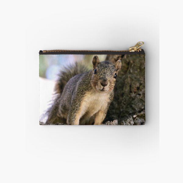 Item preview, Curious Squirrel in a Tree designed and sold by KsbAesthetics.