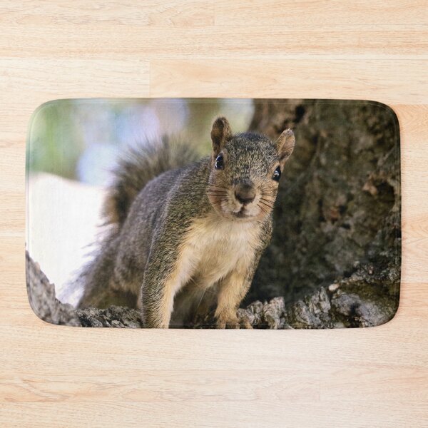 Item preview, Curious Squirrel in a Tree designed and sold by KsbAesthetics.