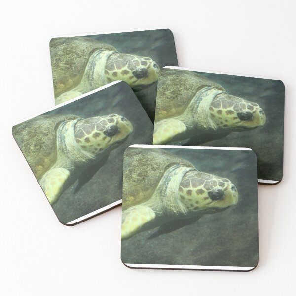 Item preview, A Sea Turtle at Sea World  designed and sold by placesandthings.