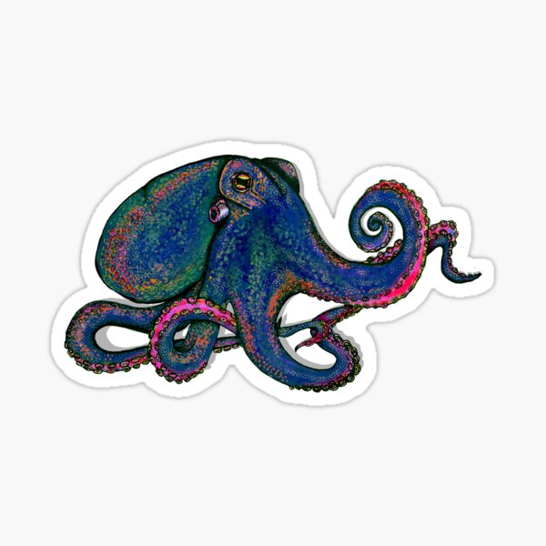 Rainbow Octopus Stickers Redbubble - team octopus and team koala roblox