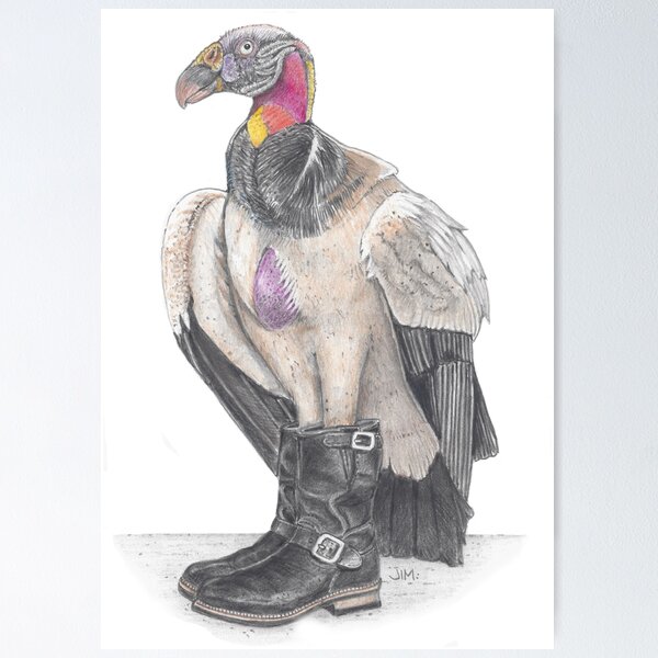 Item preview, King vulture in biker boots designed and sold by JimsBirds.