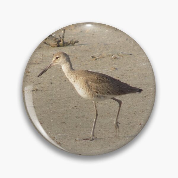 Item preview, Willet (Tringa semipalmata) on Sand  designed and sold by Inuyasha907.