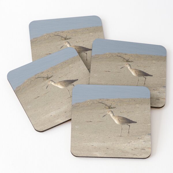 Item preview, Willet (Tringa semipalmata) on Sand  designed and sold by Inuyasha907.