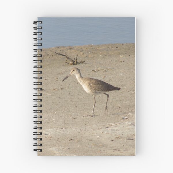 Item preview, Willet (Tringa semipalmata) on Sand  designed and sold by Inuyasha907.