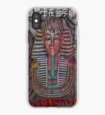 ph iPhone Case