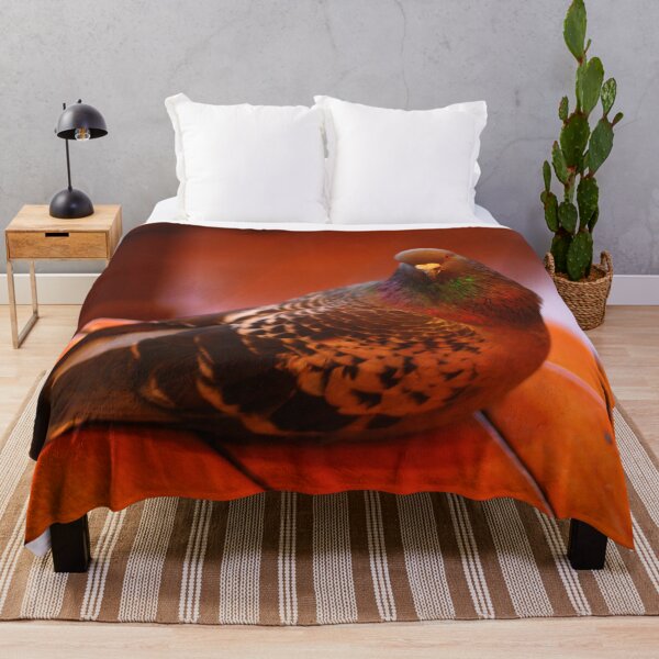 Item preview, HUNGRY PIGEON BIRD WAITING FOR A FEED | Animal Photo designed and sold by PhotoStory.