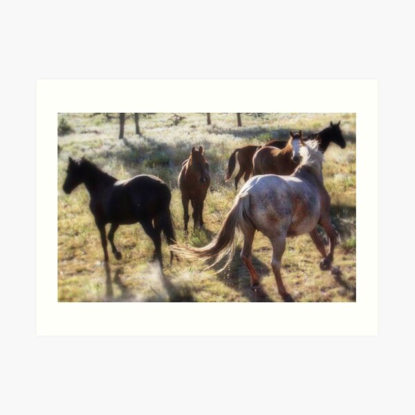 Wild Horses Art Print