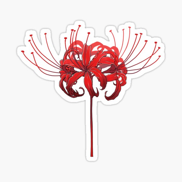 Red Spider Lily Flower GIF  Red Spider Lily Flower Bloom  Discover   Share GIFs