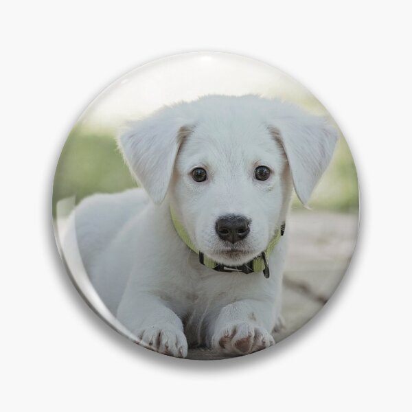Item preview, Pet lovers designed and sold by redeemer77.